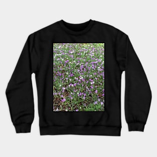 The Spring Crocus - Reminding me of Easter Crewneck Sweatshirt